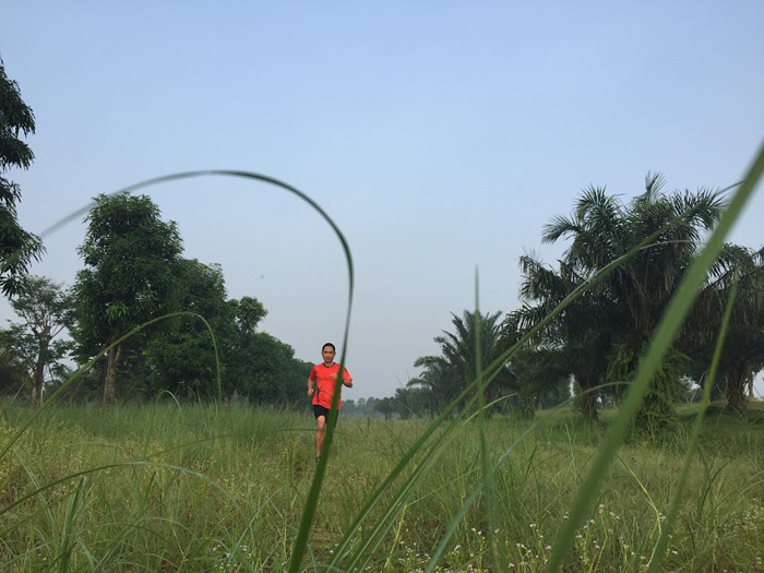 ecopark marathon